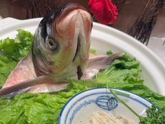 -鸽子窝(青塔店)