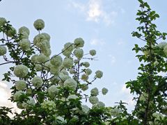 -大龙山(地铁站)