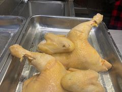 -九斤黄三黄鸡专卖店