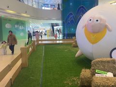 -阳光天地