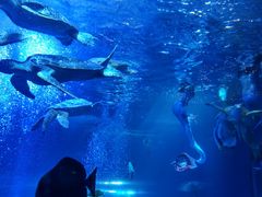 -太平洋海底世界