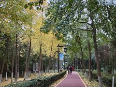 -西安汉城湖景区