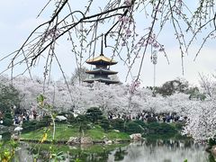 -东湖磨山景区