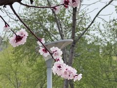 -吉林大学(前卫南区)