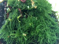 -添福来墨鱼饺子 · 海鲜东北菜(大连星海·黄浦路店)