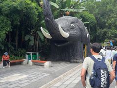 -野象谷景区