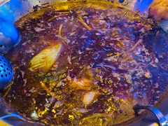 -红牌美蛙鱼头火锅(万辉国际广场店)