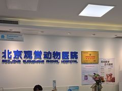-北京观赏动物医院·24小时大型综合·猫专科·异宠专科