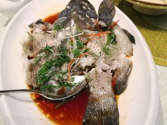 清蒸青斑鱼-韩山苑·潮州美食·私房菜(天安数码时代大厦店)