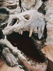 -探洞工场(丰科万达旗舰店)