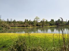 -桤木河湿地公园