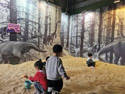 -恐龙探索乐园(磁器口店)
