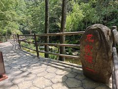 -茅兰沟国家森林公园