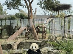 -武汉动物园