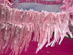 -盈香心动乐园
