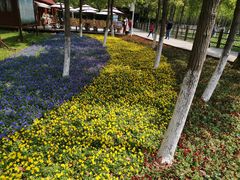 -艾溪湖湿地公园