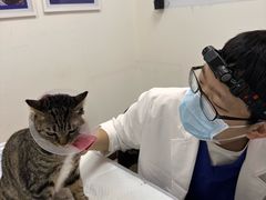 -美联众合动物医院·24h转诊中心