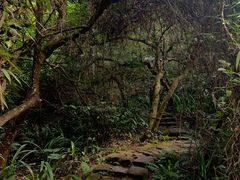 -水濂山森林公园