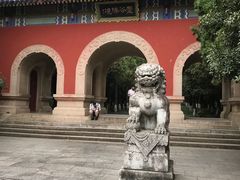 -灵谷景区