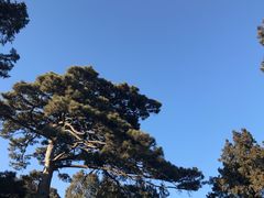 -香山公园-东宫门售票处