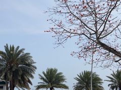 -旺富东海大酒楼(海鲜街店)