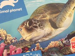 -汉堡王(龙湖洋湖天街店)