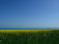 -青海湖国家重点风景名胜区