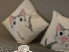 -有才叔的小馆(招商依云曲江店)