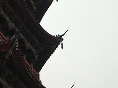 -葛仙湖公园