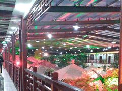 -老山东·山东菜(鲁菜名店)