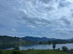 -浔味·山屿湖·正宗淳牌全鱼宴老字号