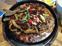 -老板恋上鱼(高新万达店)