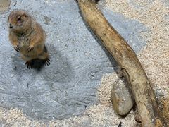 -上海大自然野生昆虫馆(东方明珠·爬宠昆虫探索中心)