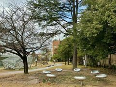 -金泽21世纪美术馆