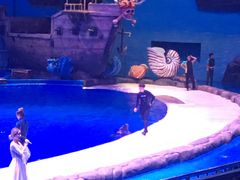 -华夏文旅海洋公园