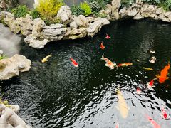 -鲤院·新中式美学·庭院餐厅(夫子庙店)