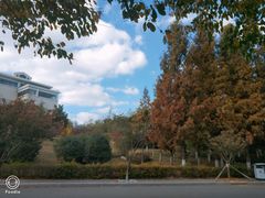 -中国海洋大学（崂山校区）-图书馆