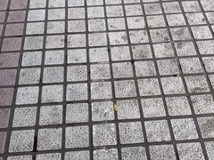 -王二甩老木子鸡(江湾店)