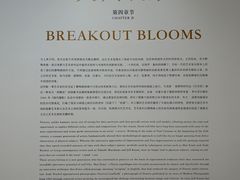 -德基艺术博物馆