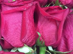 -BEAST野兽派(上海浦东嘉里城店)