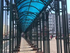 -圣·阿列克谢耶夫教堂