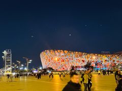 -小吊梨汤·北京菜·烤鸭(鸟巢店)