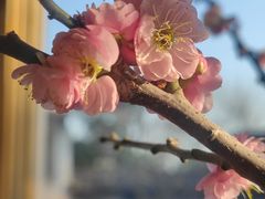 -无锡梅园公园