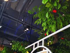 -蕃茄述·好汤自然来(江汉路店)