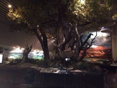 iphone_upload_pic-中国湿地博物馆