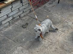 -大理床单厂艺术区