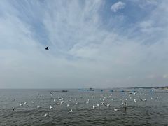 -老虎石海上公园