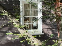 -三鹰之森吉卜力美术馆