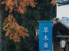 -乌镇景区