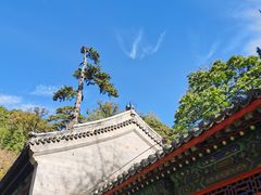 -潭柘寺景区